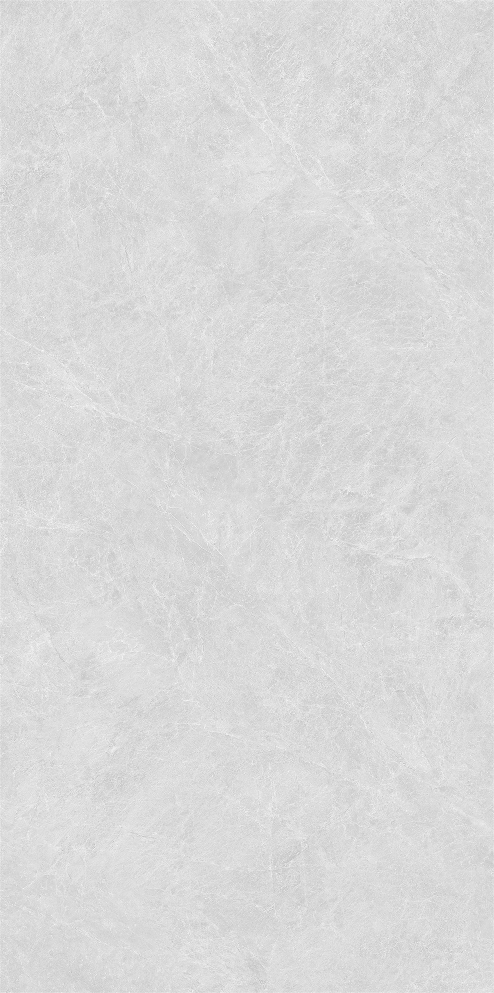 2620特斯頓灰